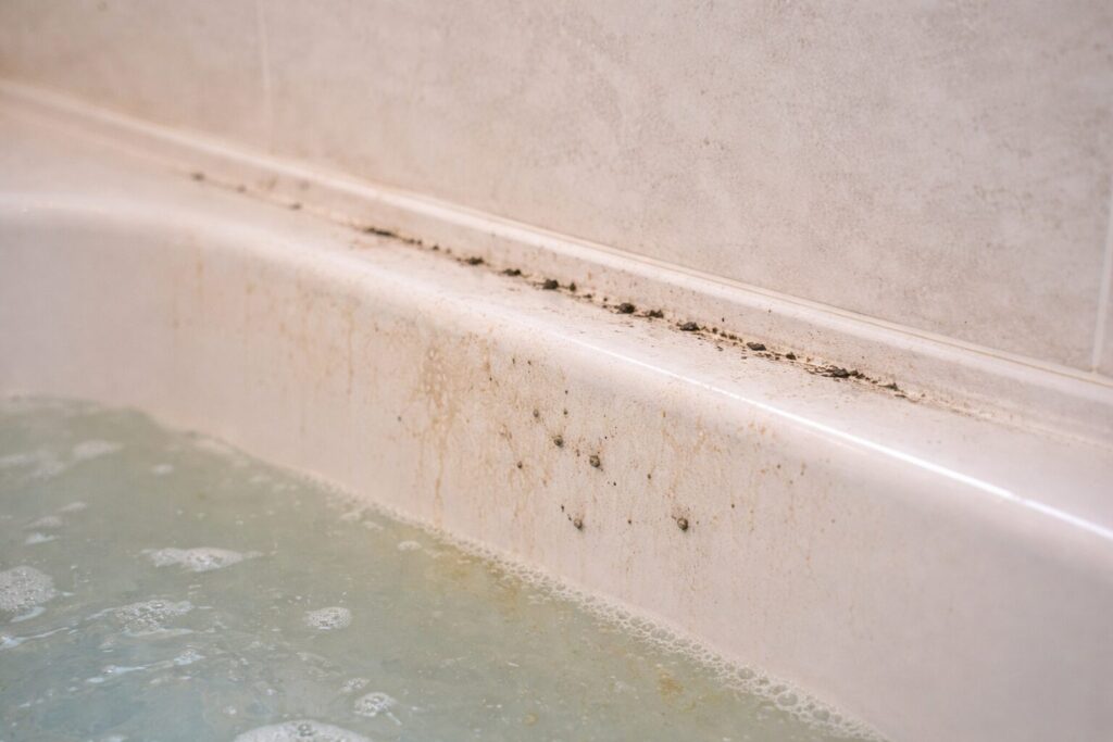 ウルトラハードクリーナー バス用黒カビ・防カビ効果